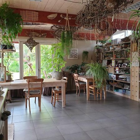 Appartementen Het Oude Atelier Σχόορλ Εξωτερικό φωτογραφία