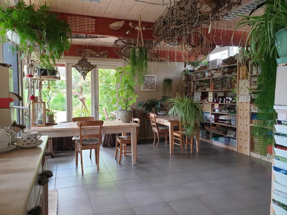 Appartementen Het Oude Atelier Σχόορλ Εξωτερικό φωτογραφία