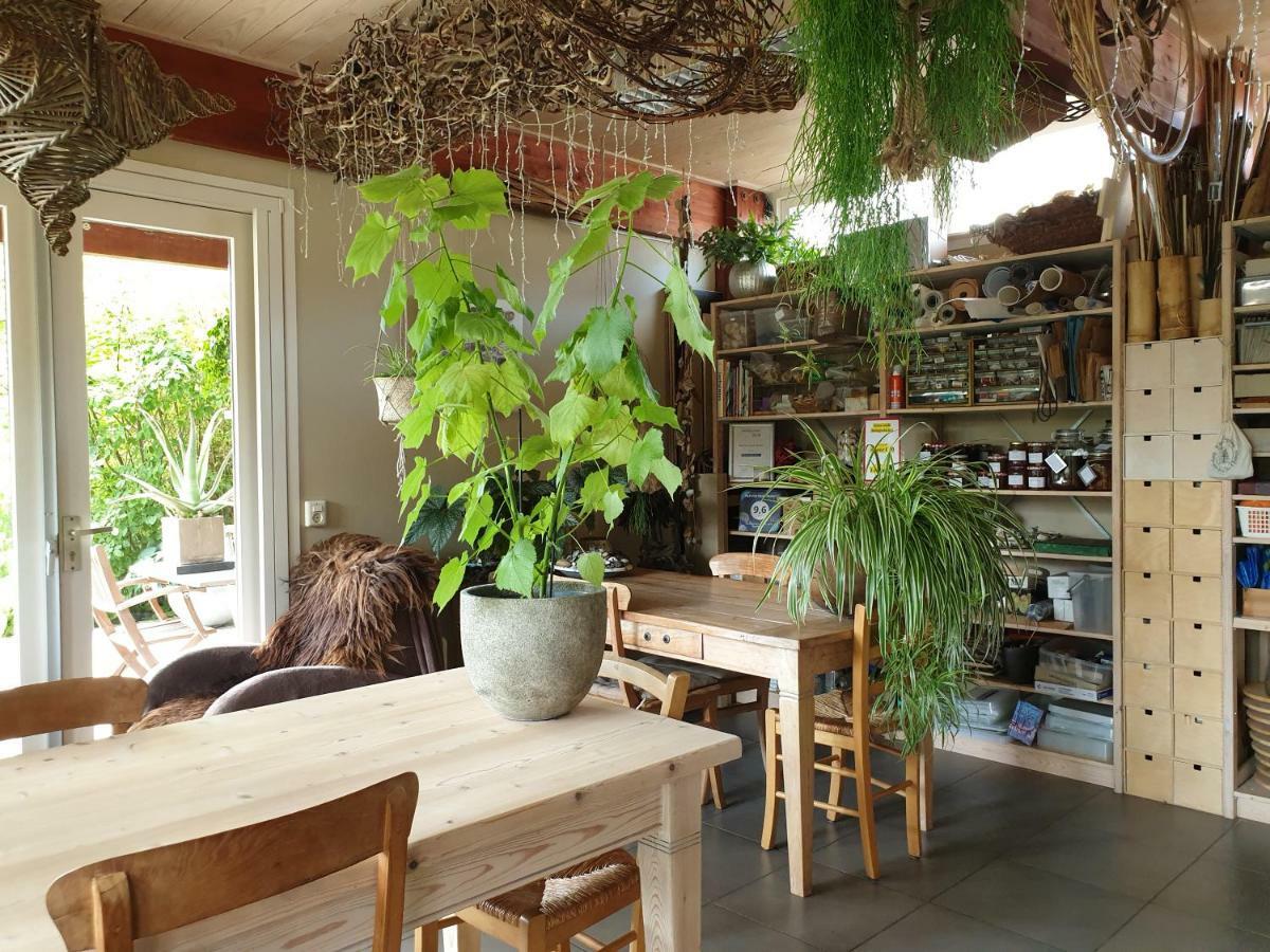 Appartementen Het Oude Atelier Σχόορλ Εξωτερικό φωτογραφία